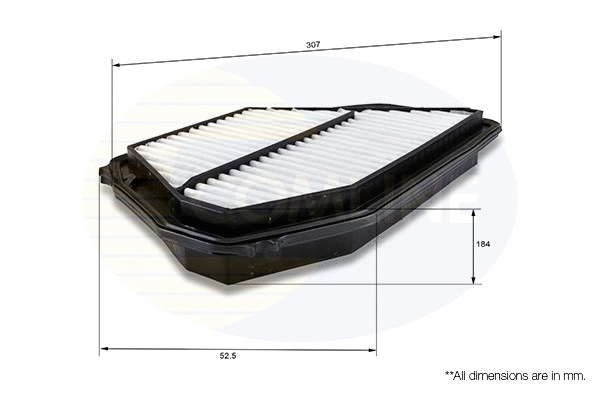 Air Filter (CHN12899)