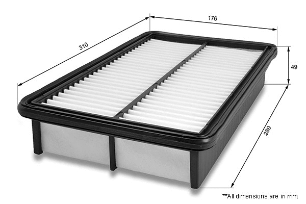 Air Filter (CMZ12463)