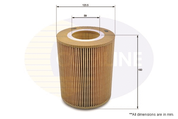 Air Filter (EAF070)