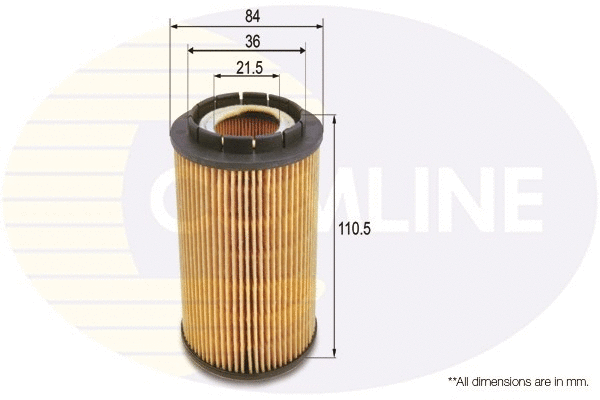 Oil Filter (EOF193)