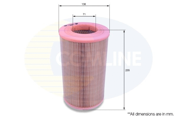 Air Filter (CNS12007)