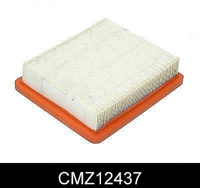 Air Filter (CMZ12437)