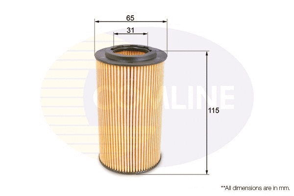 Oil Filter (EOF045)