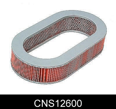 Air Filter (CNS12600)