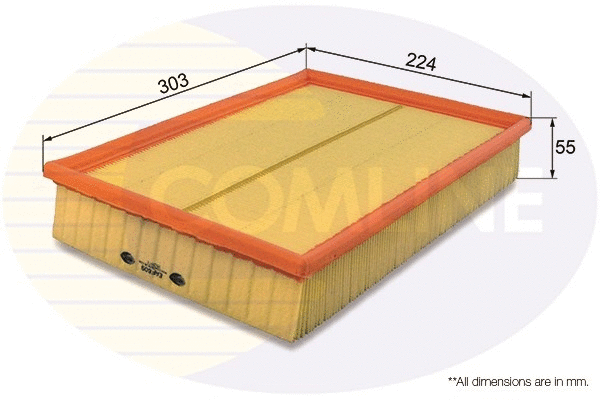 Air Filter (EAF609)