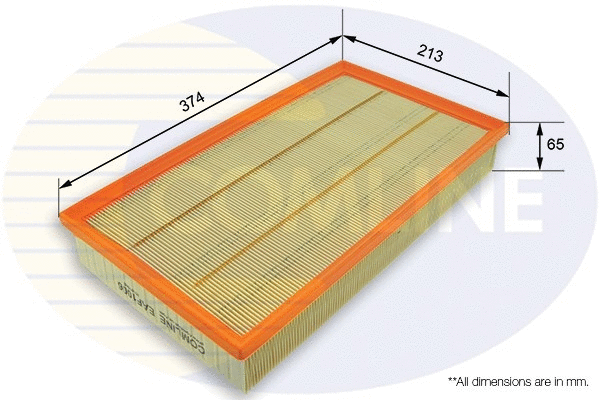 Air Filter (EAF1006)