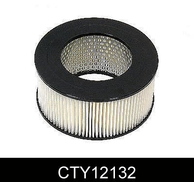 Air Filter (CTY12132)