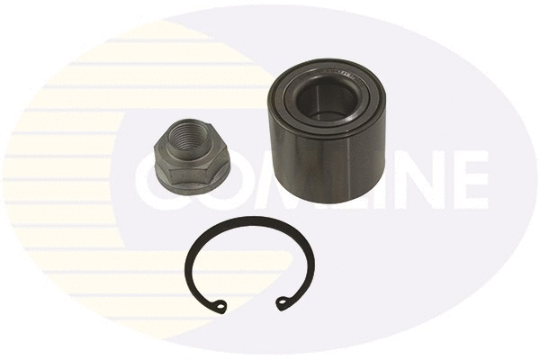 Wheel Bearing Kit (CBK231)