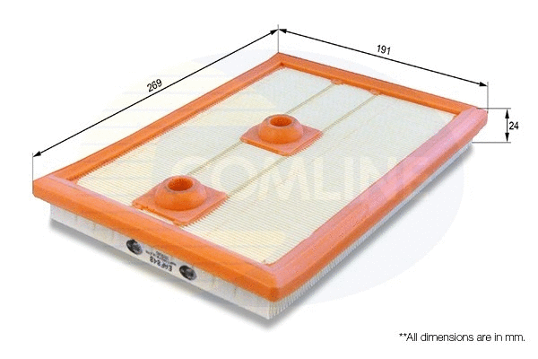 Air Filter (EAF848)