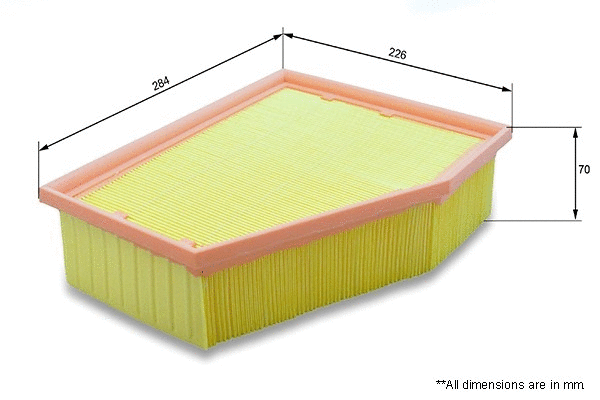 Air Filter (EAF873)