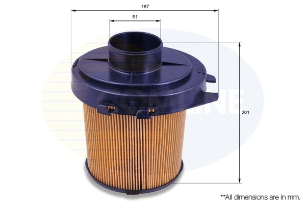 Air Filter (EAF019)