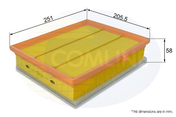Air Filter (EAF899)