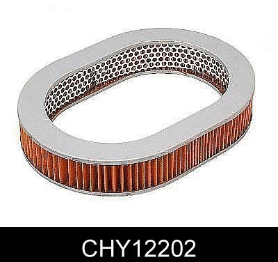 Air Filter (CHY12202)
