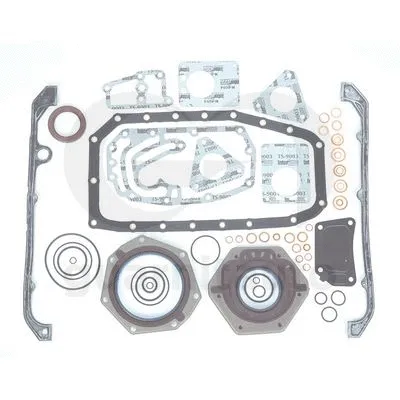 Gasket Kit, crankcase (081065-1000)
