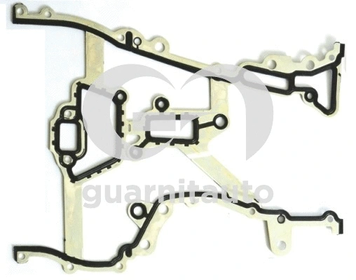 Gasket, timing case (423561-8500)