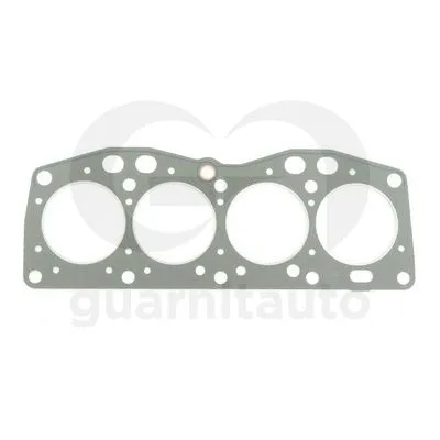 Gasket, cylinder head (100569-1919)