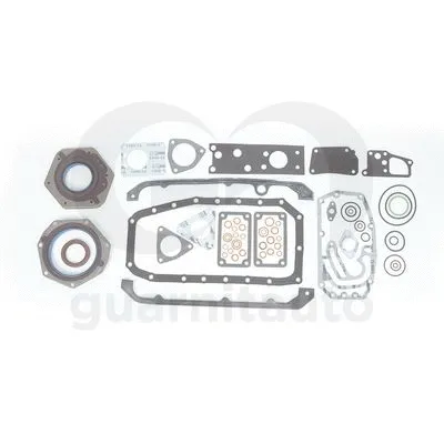 Gasket Kit, crankcase (081078-1000)