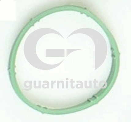 Gasket, intake manifold (184763-8100)