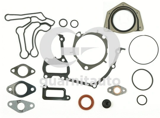 Gasket Kit, crankcase (081118-1051)