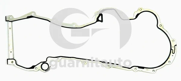 Gasket, timing case (361081-8500)