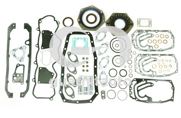 Full Gasket Kit, engine (010958-1099)