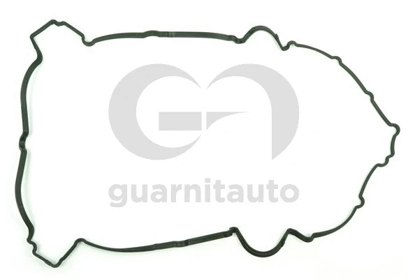 Gasket, cylinder head cover (111524-8000)