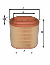 Air Filter (CH 1019)