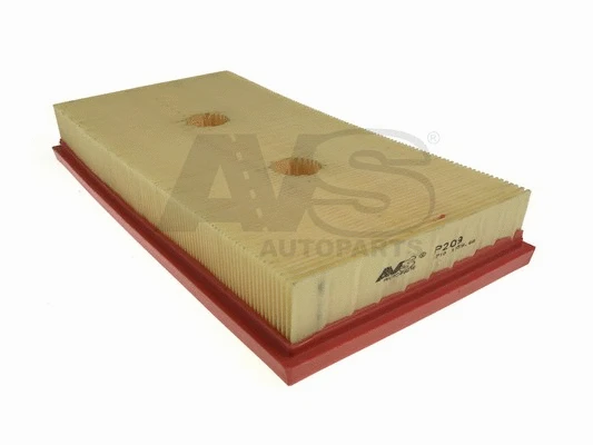 Air Filter (P209)