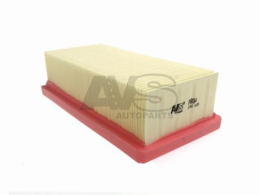 Air Filter (P894)