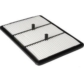 Air Filter (PM481)