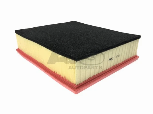 Air Filter (P080A)