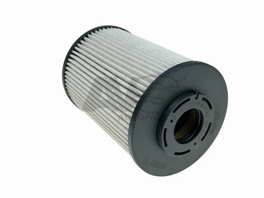 Fuel Filter (F020)