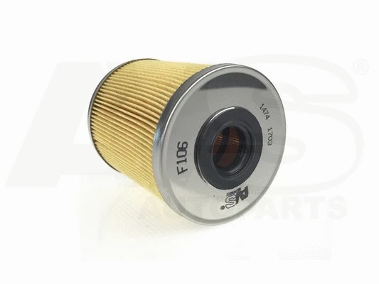 Fuel Filter (F106)