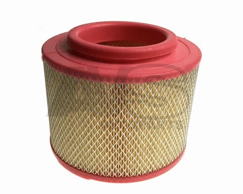 Air Filter (RA655)