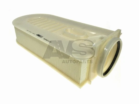 Air Filter (RA010)