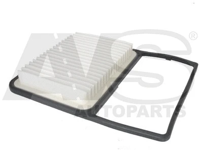 Air Filter (PM975)