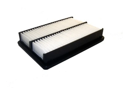 Air Filter (P968)