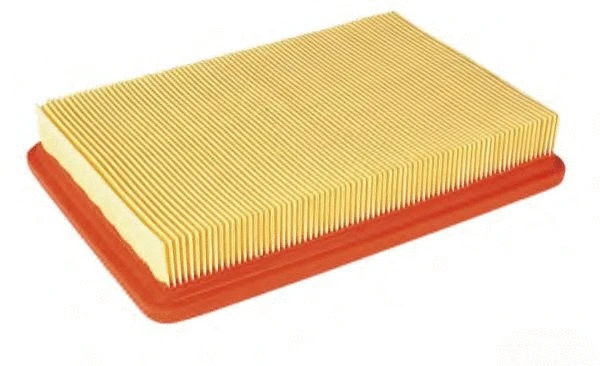 Air Filter (P266)