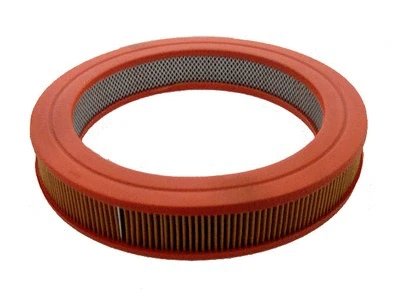 Air Filter (RM809)