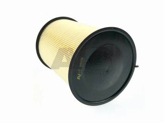 Air Filter (RM505B)