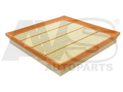Air Filter (P895)
