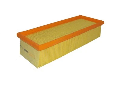 Air Filter (P166)