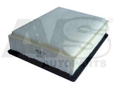 Air Filter (P955)