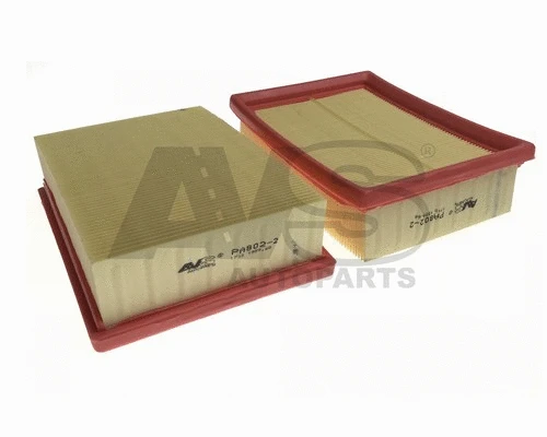 Air Filter (PA802-2)