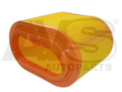 Air Filter (R429)