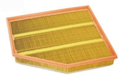 Air Filter (P445)