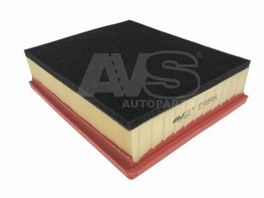 Air Filter (P098A)