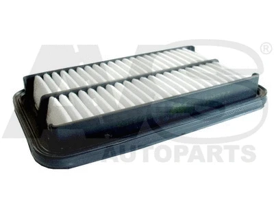 Air Filter (PM973)