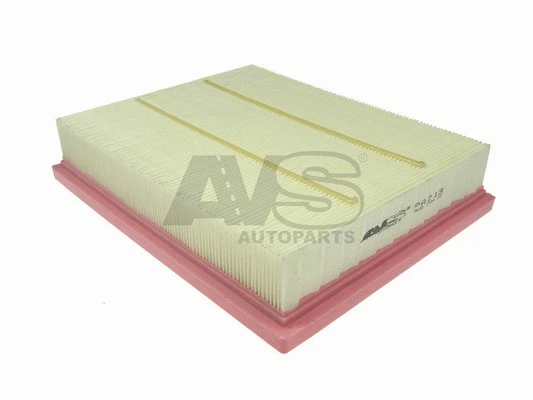 Air Filter (PA213)