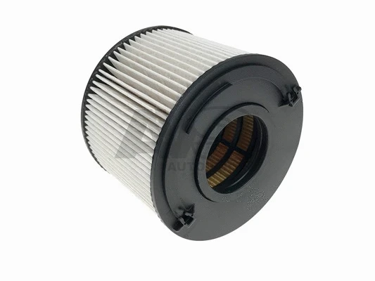 Fuel Filter (F015)